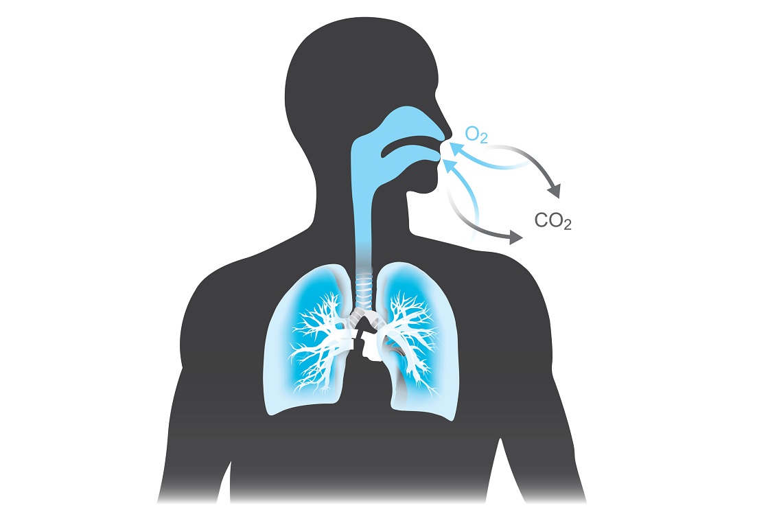 При дыхании человек выдыхает углекислый газ