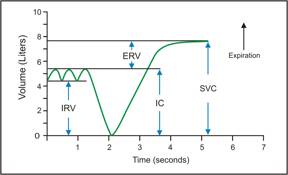 Slow Vital Capacity Maneuver